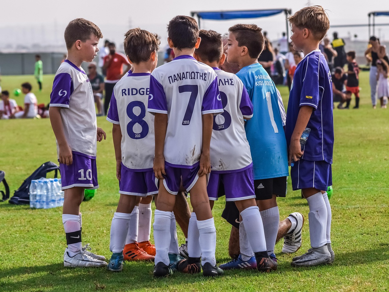 中意人寿APP详情下载教程