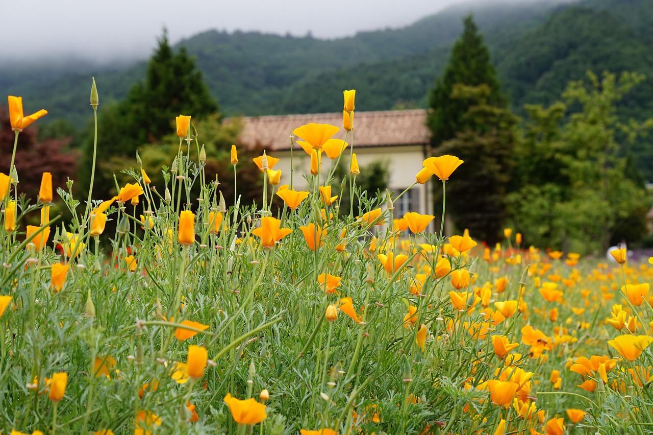 微信实名账号:浦发喜奔app官方详情下载教程