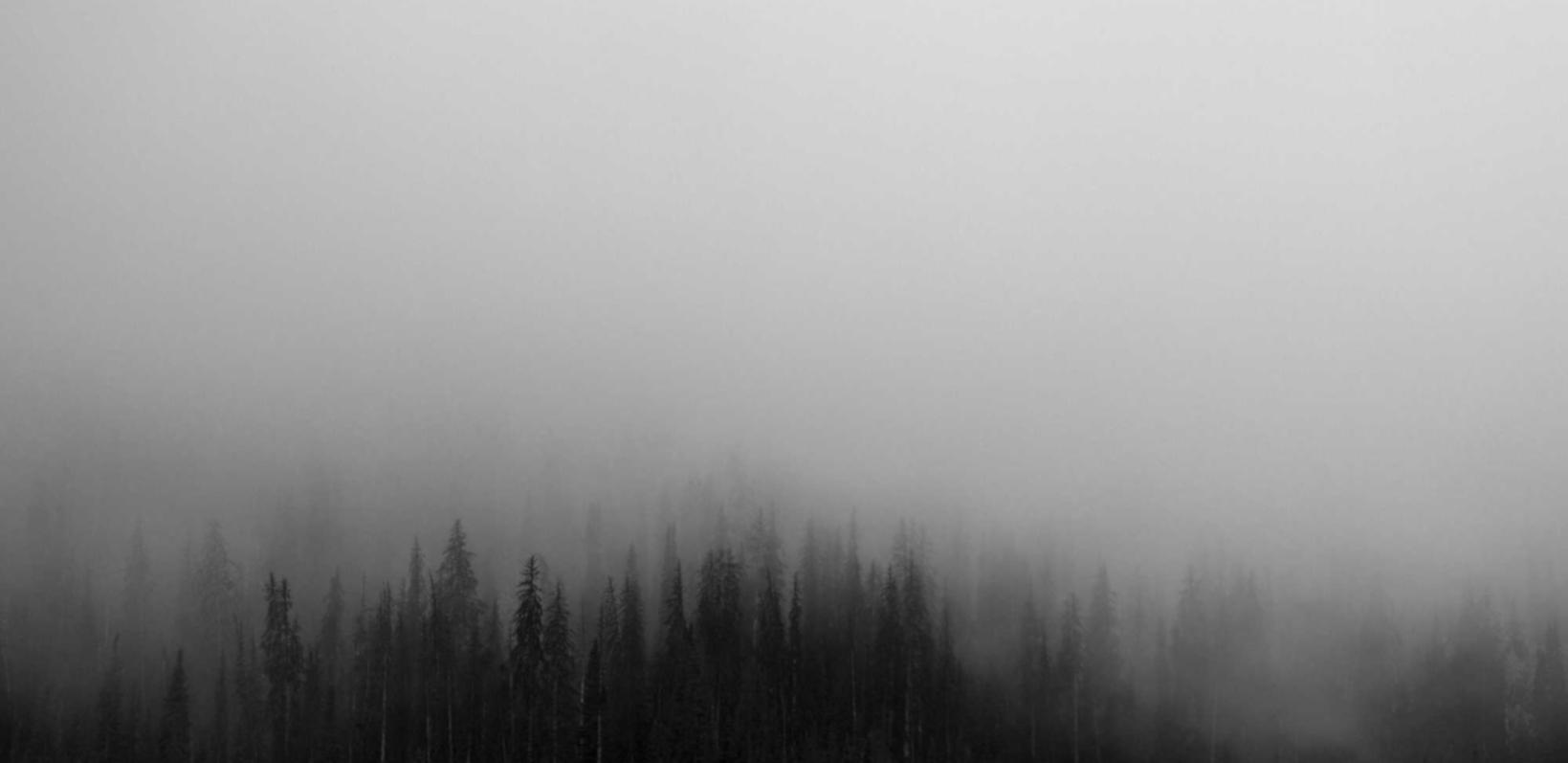 DDOS平台|代理注册亚马逊账号