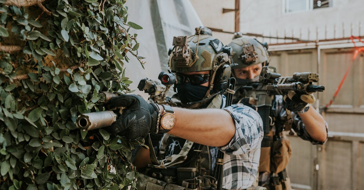 蓝梅花王：猫舍代理注册