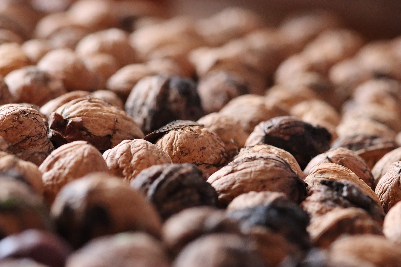 邢台企业注册代理