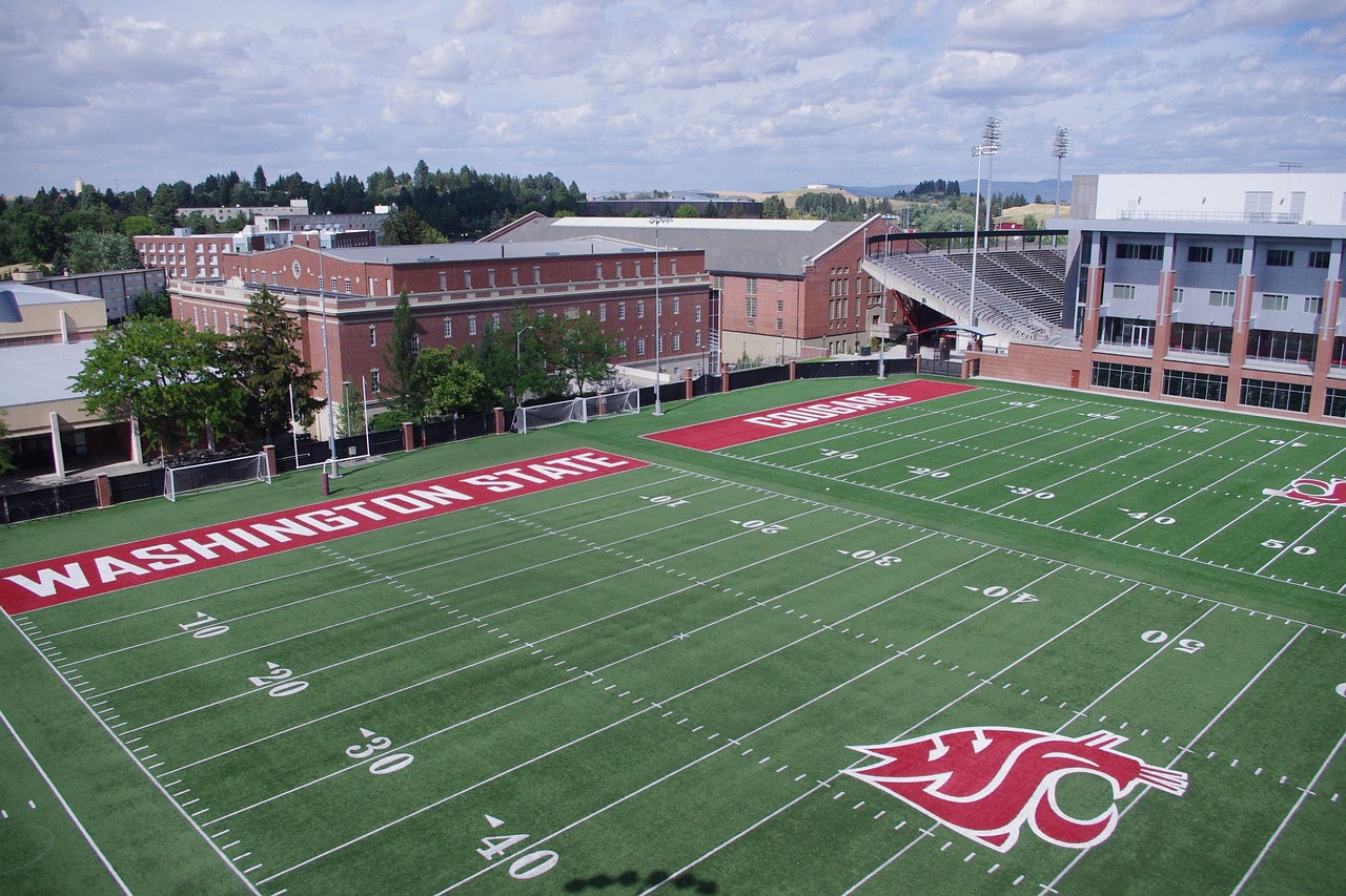 Bohem宝恒树叶爆珠：棋牌游戏代理注册