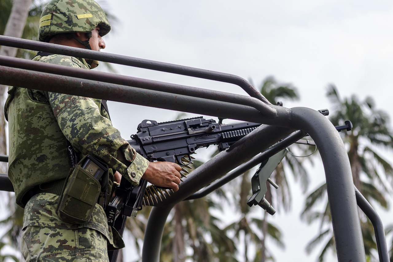 云立方ip实名账号：鲜蔬购买有哪些平台