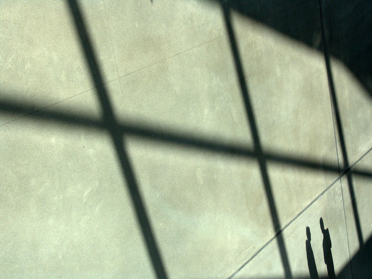 欧盟蓝色555：gop钱包app详情下载教程